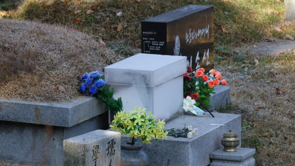 e15de31d062477f6484b0b532b5a529f_1513747326_6054.JPG